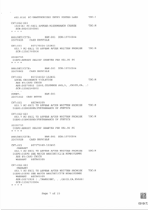 rap sheet ex 2